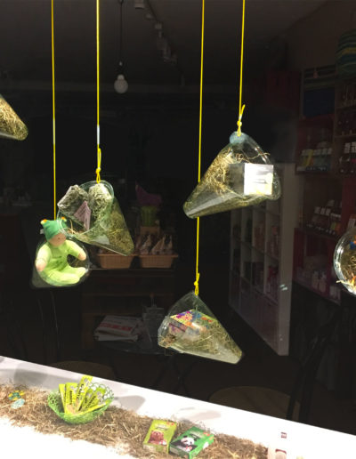 conception d’une vitrine de printemps pour une boutique