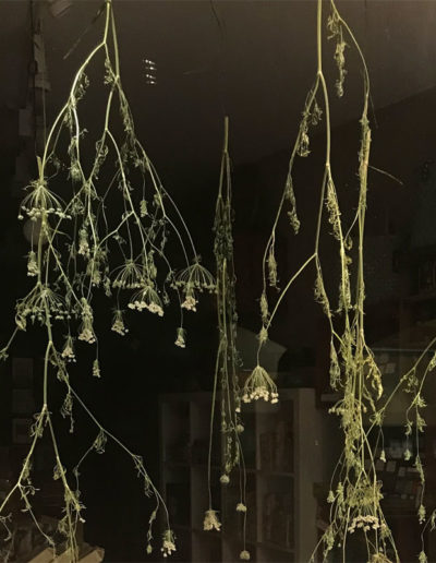 décor d’une vitrine de boutique dans la ville de Vevey avec des éléments naturels